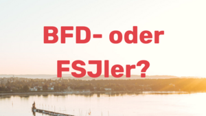 Flyer Landesturnfest Konstanz 2026 für FSJ oder BFD