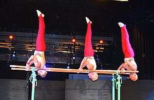 Symbolbild BTB-Senioren bei Barren Show-Auftritt